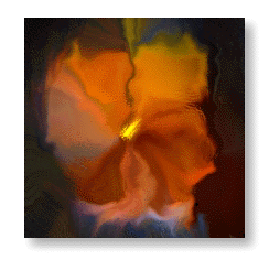 Hibiscus by Anuppa Caleekal, Painter, Stylus & Tablet © Copyright 1999