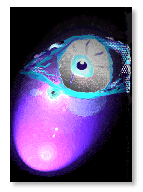 Planet Eye